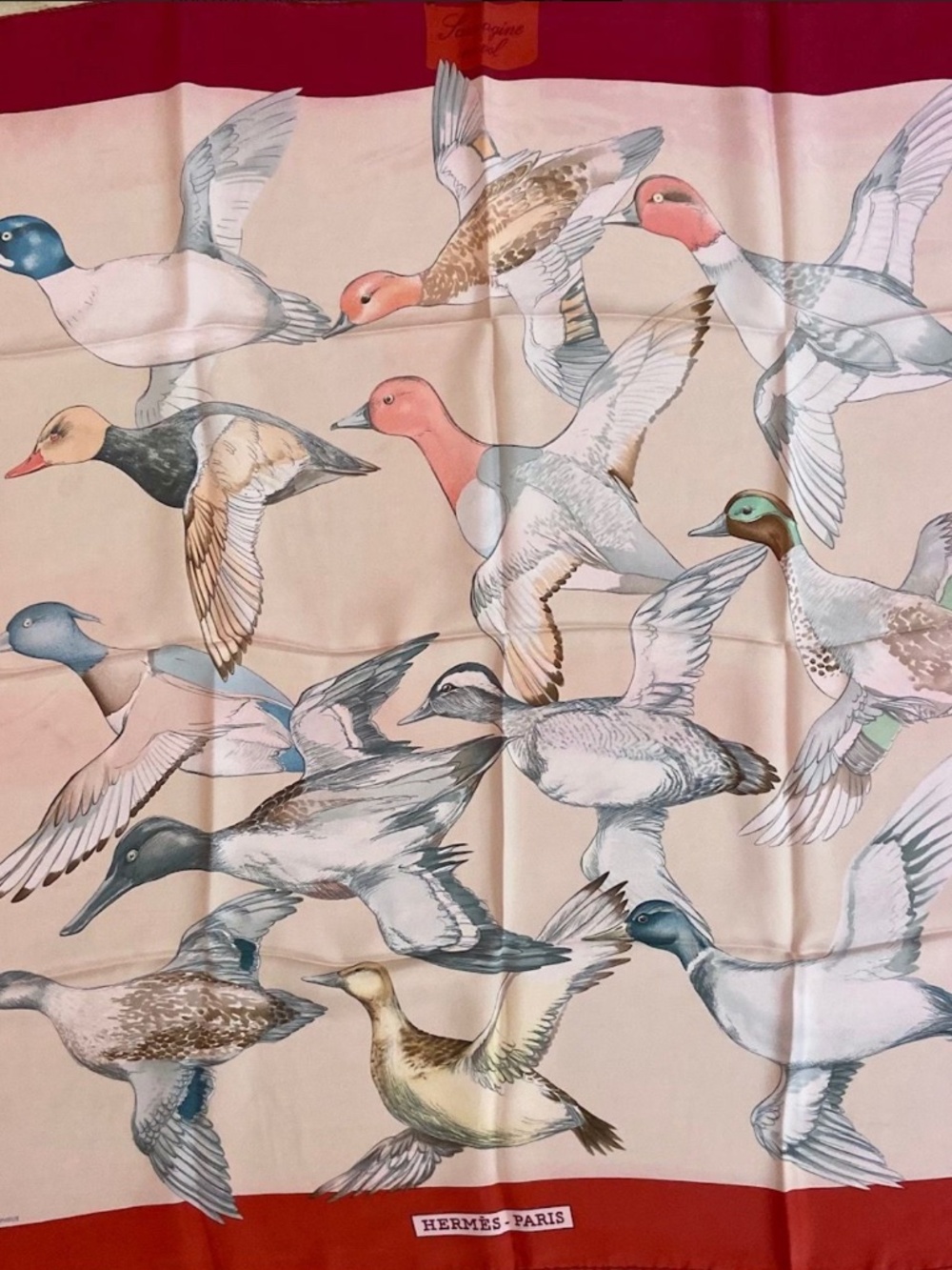 Hermes 'Carré Sauvagine en vol' Silk Scarf